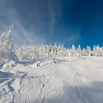 Ferienhaus Oberwiesenthal